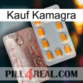 Purchase Kamagra new13